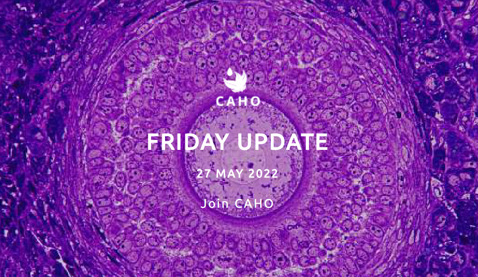 Caho Friday Update